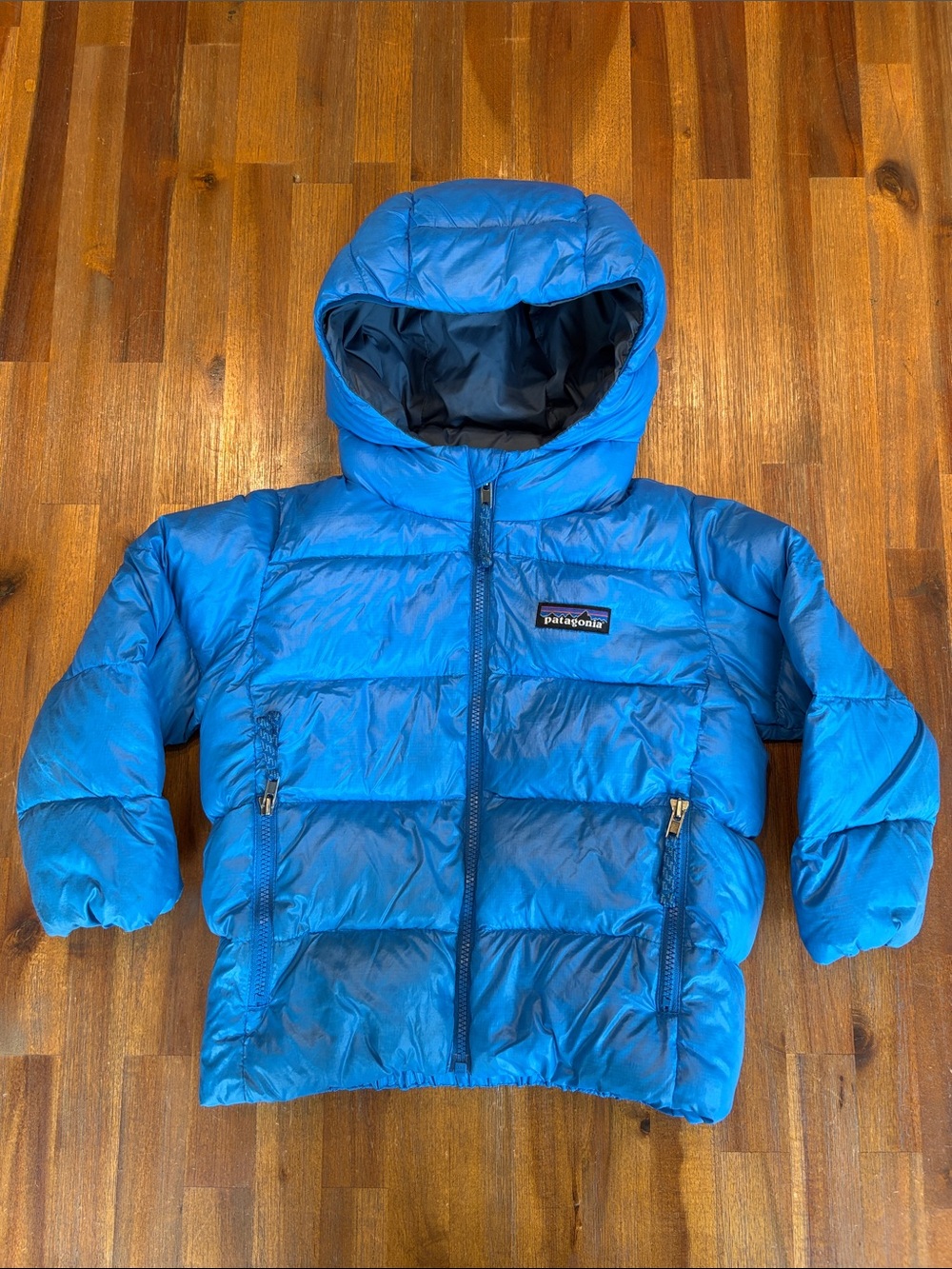 Patagonia Toddler Hi-Loft Down Sweater Hoody Puffer Jacket